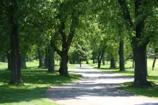 P-Acc-DecouvrirParcours-229x150-1